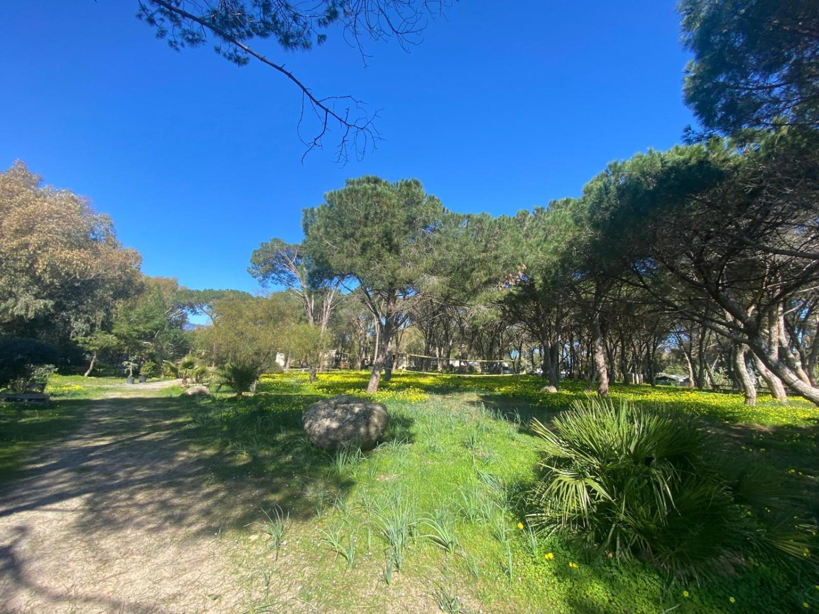 Camping Village Flumendosa Santa Margherita di Pula Zewnętrze zdjęcie